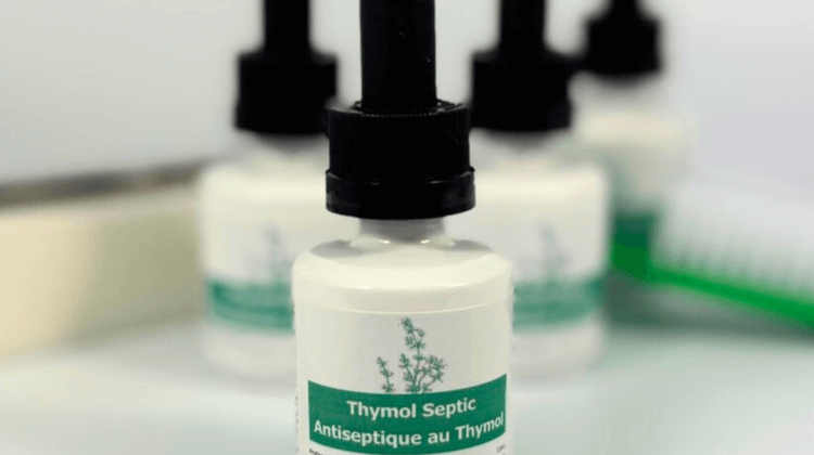 Thymol Septic