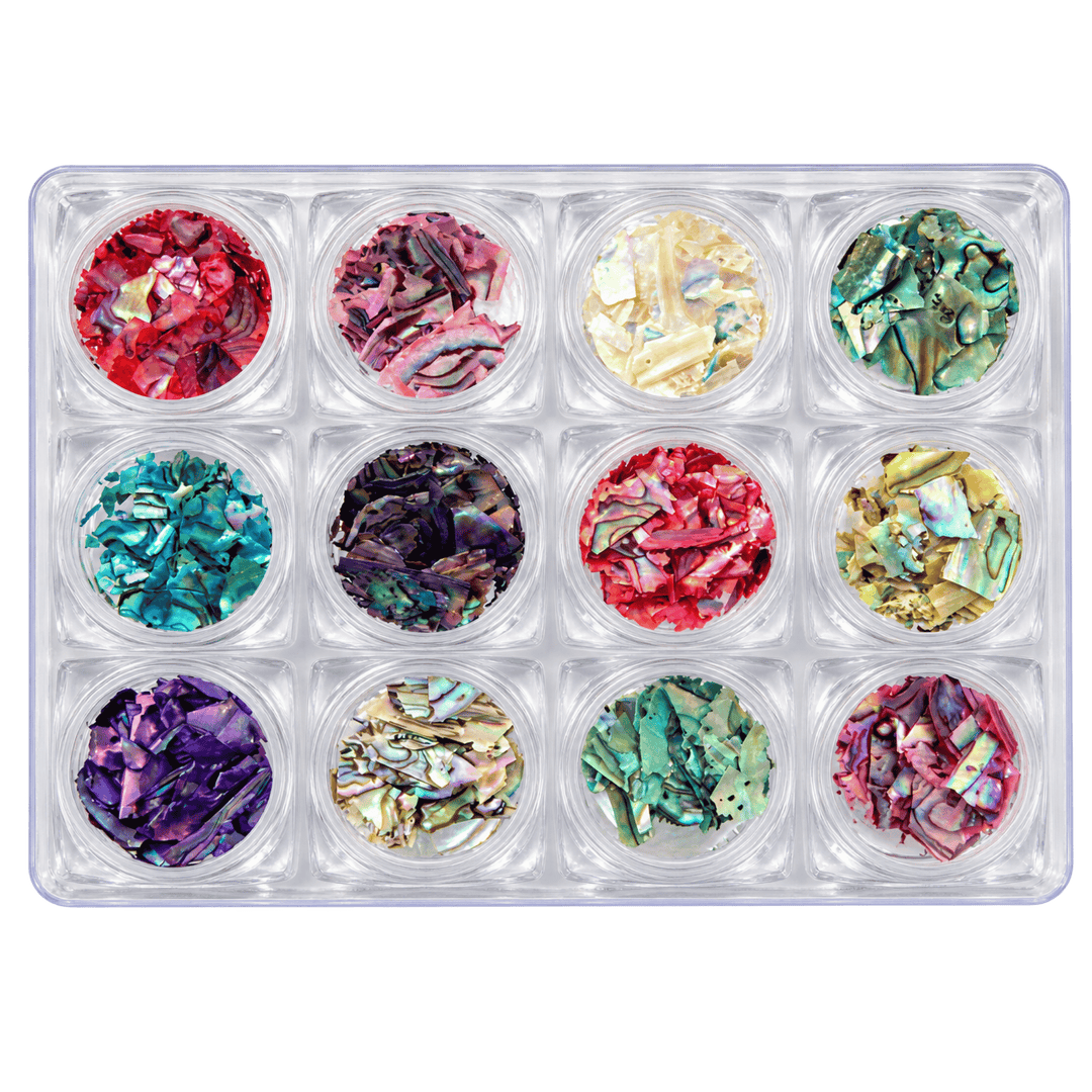 Ensemble Fragments de Coquillage