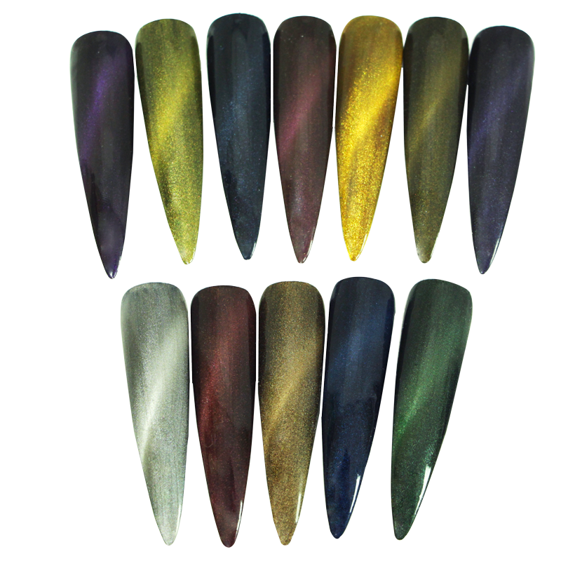 Ensemble de Poudre Magnétique Cat Eye avec Aimant (12pcs)