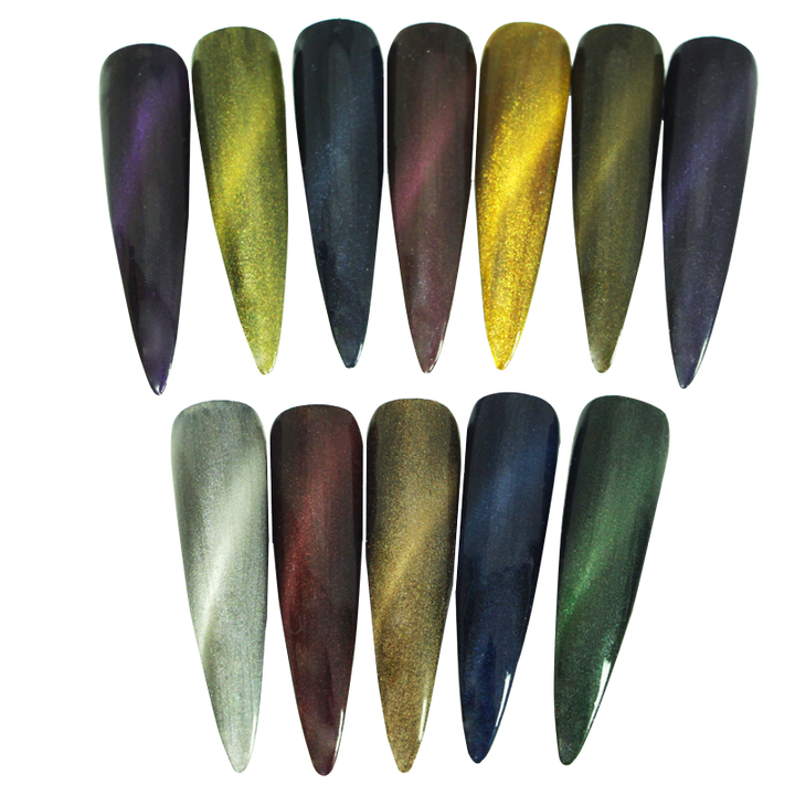 Ensemble de Poudre Magnétique Cat Eye avec Aimant (12pcs)