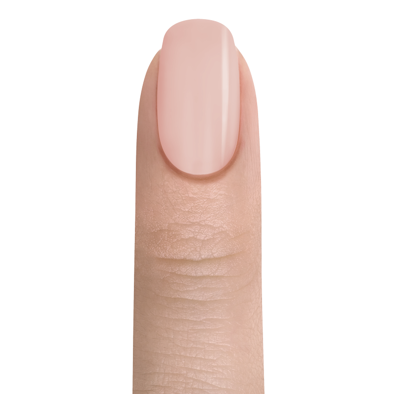 818125023572 rose opaque
