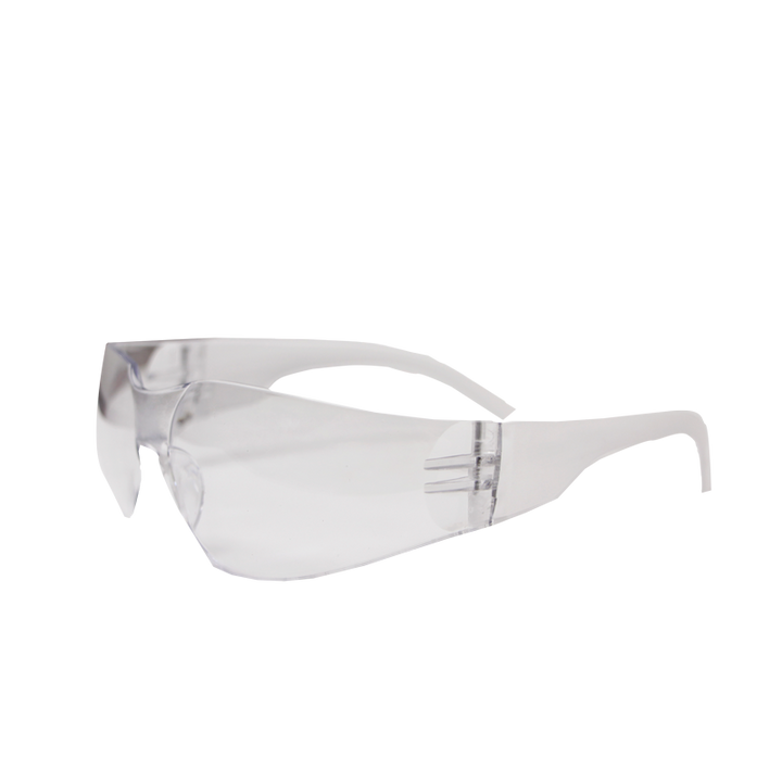Clear Plastic Safety Goggles (PSG-1)