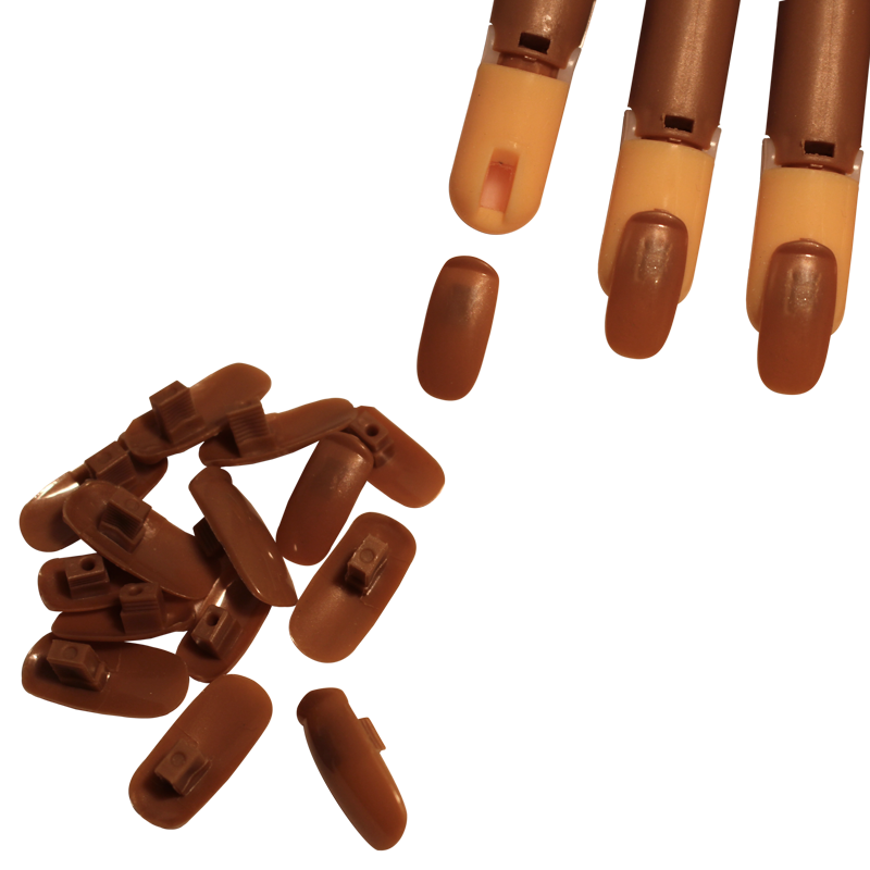 Main de pratique articulée avec ongles de rechange