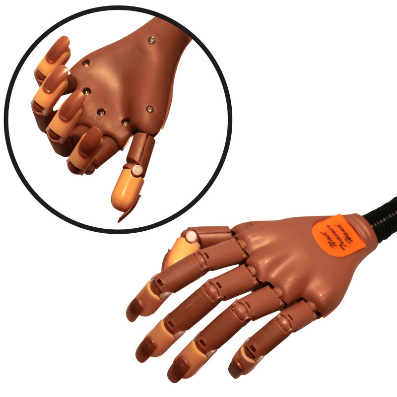 Main de pratique articulée avec ongles de rechange