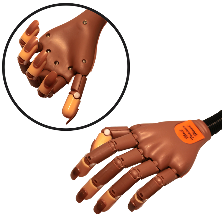 Main de pratique articulée avec ongles de rechange