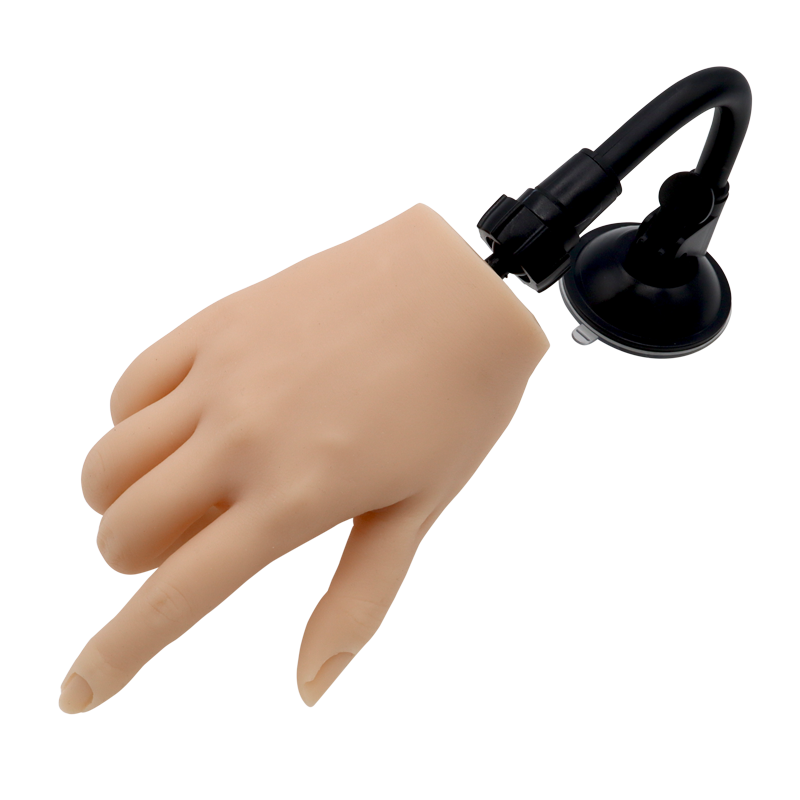 Main de Pratique Articulée en Silicone avec Support