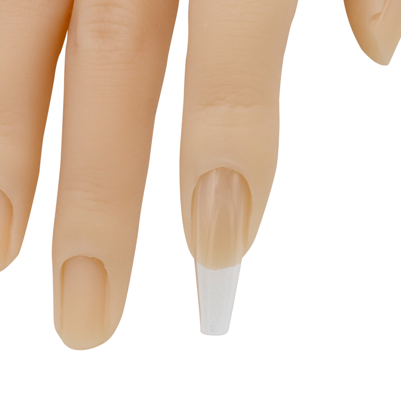 Main de Pratique Articulée en Silicone avec Support