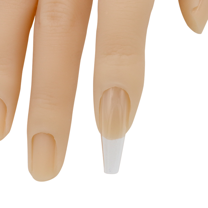 Main de Pratique Articulée en Silicone avec Support