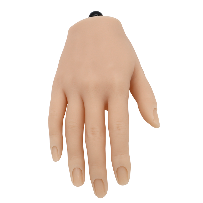 Main de Pratique Articulée en Silicone avec Support