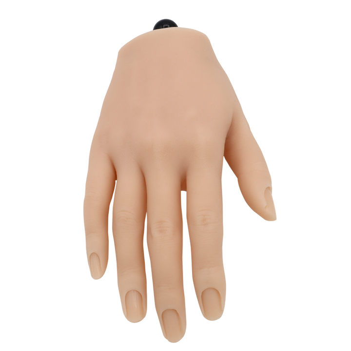 Main de Pratique Articulée en Silicone avec Support