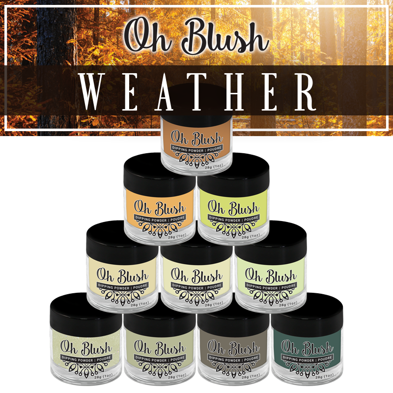 Oh Blush Poudre Collection Weather (10pcs) couleurs couleur automne 