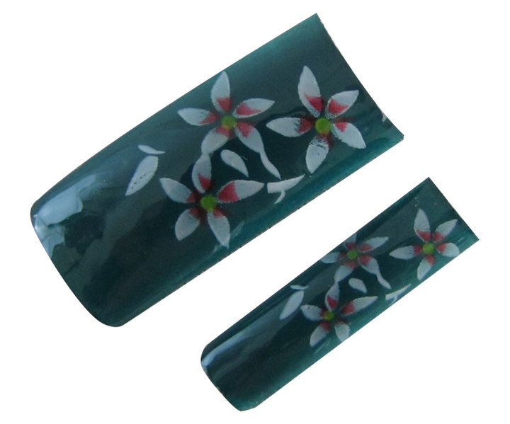 Capsules Fleurs Blanc/Rouge sur Vert