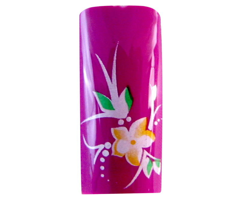 capsulesfleur rose fuschia