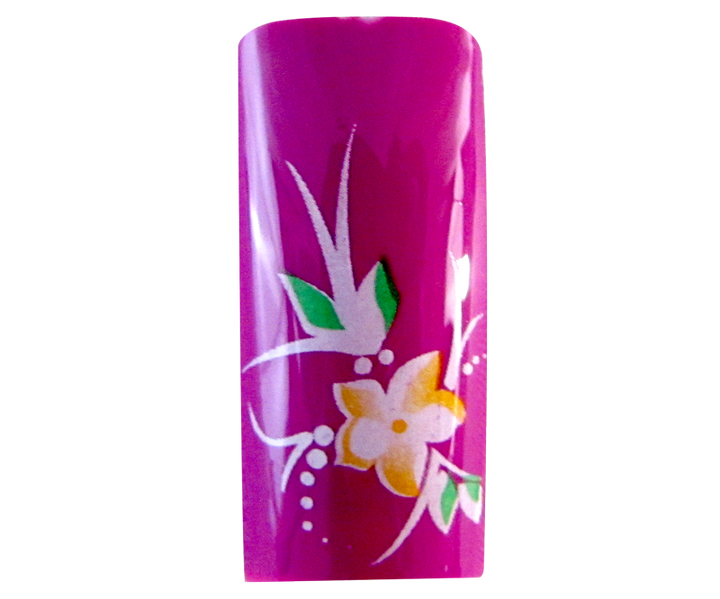 capsulesfleur rose fuschia