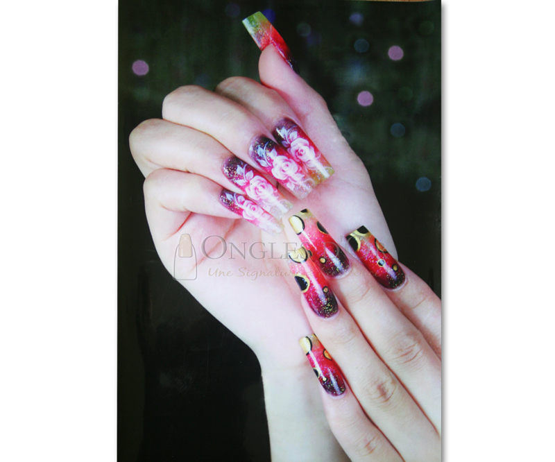 Poster Ongles Fantaisie Deux Motifs de Manucure