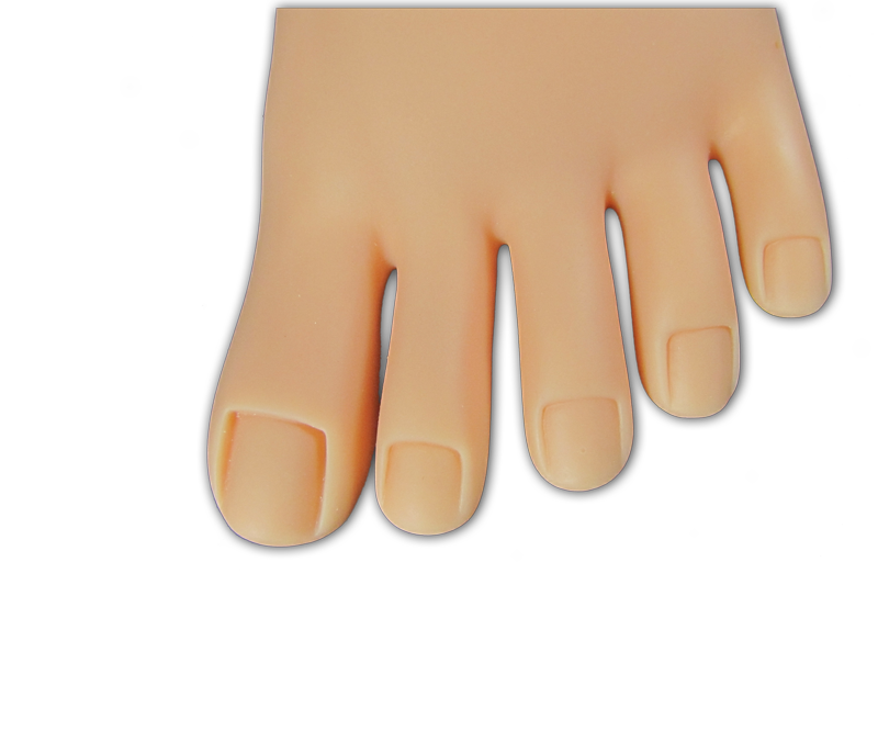 Pied de Pratique en Plastique Semi Souple