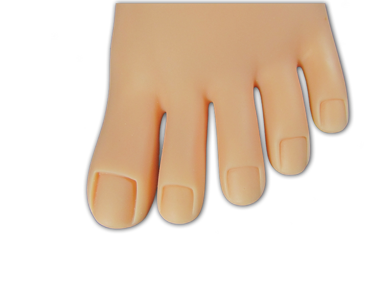 Pied de Pratique en Plastique Semi Souple