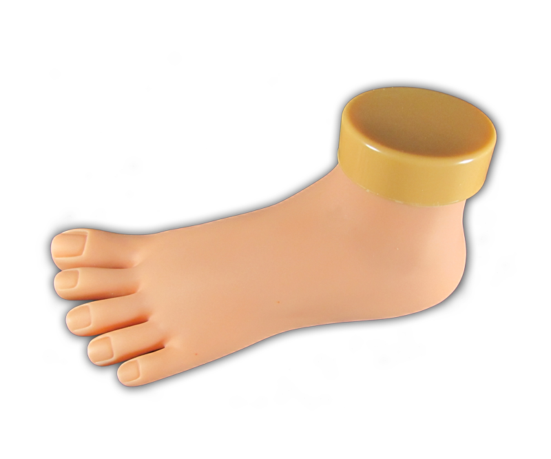 Pied de Pratique en Plastique Semi Souple