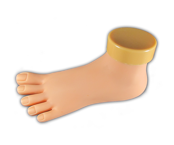 Pied de Pratique en Plastique Semi Souple