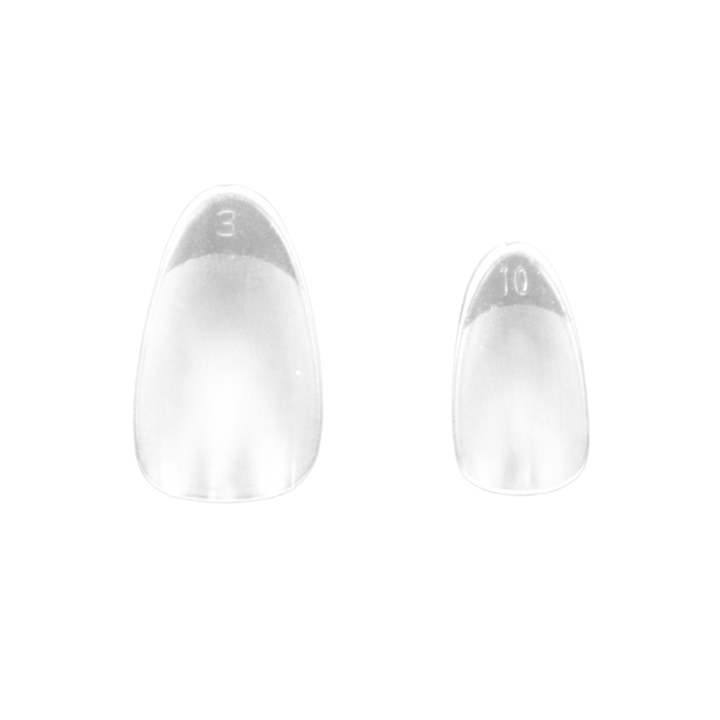 Prothèse Pleine Amande Courte Clair (100pcs)
