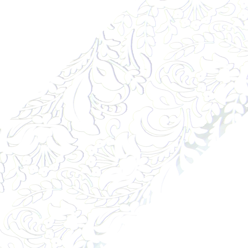 Papier Transfert Déco. Fleurs/Feuilles Blanc 012