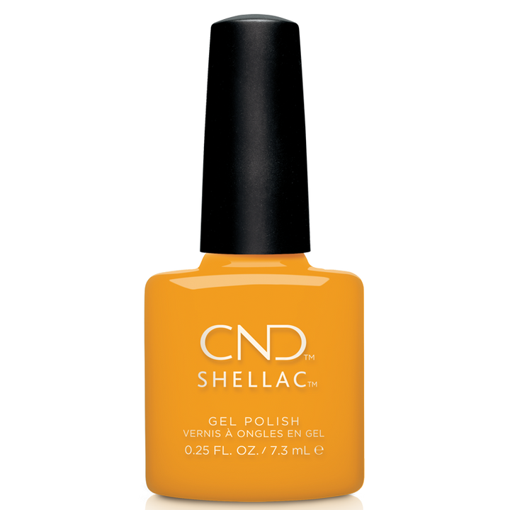 Shellac UV Polish Among the Marigolds 