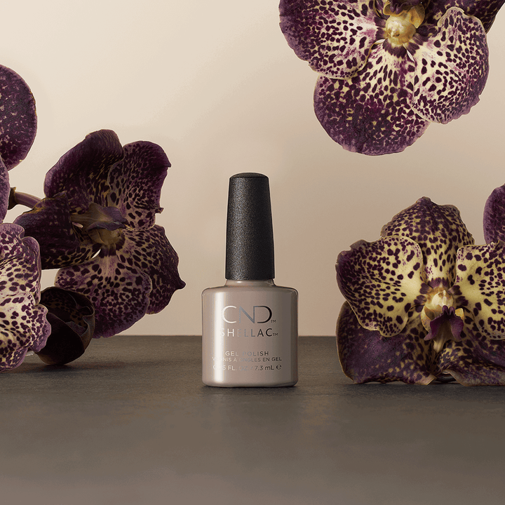 Shellac Vernis UV Skipping Stones 