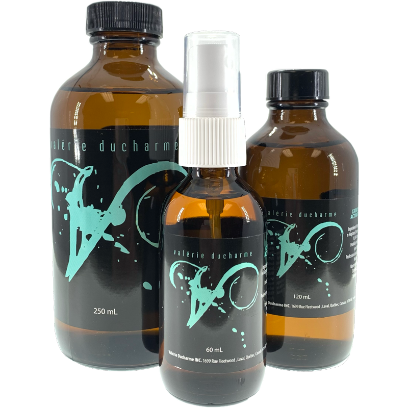 Valérie Ducharme Catalyseur en Spray Médium pour résine